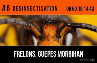 Logo Ab Désinsectisation
