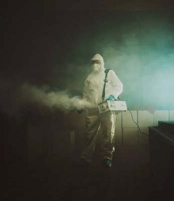 Logo Access Anti-nuisibles