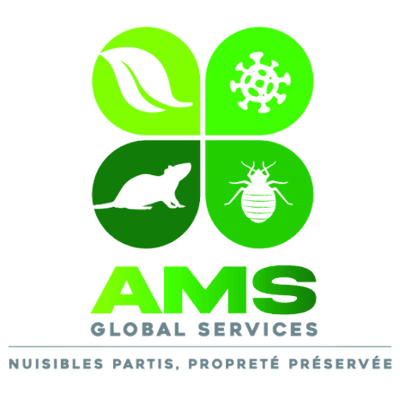 Logo Ams Global Services