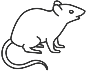 Logo Baticlean 34