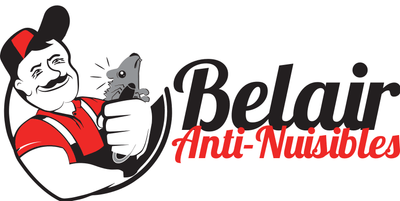 Logo Belair Anti Nuisibles