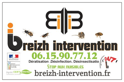 Logo Breizh Intervention