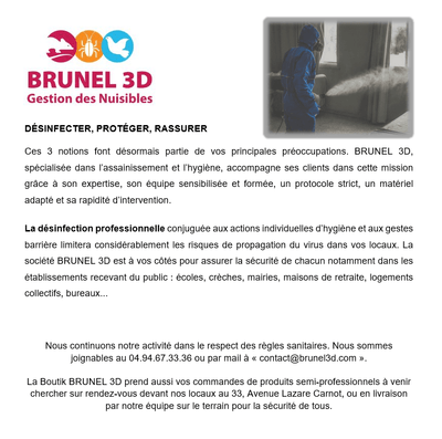 Logo Brunel 3d