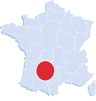 Logo D -nuisibles