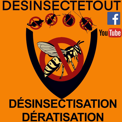 Logo Désinsectetout
