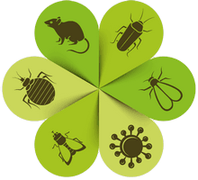 Logo D'nuisibles-eco