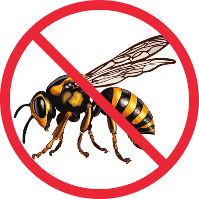 Logo Dp Insectes