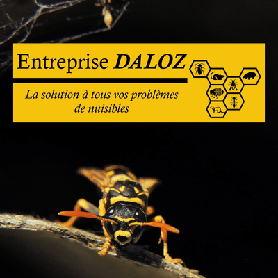 Logo Entreprise Daloz