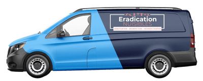 Logo Eradication Nuisibles