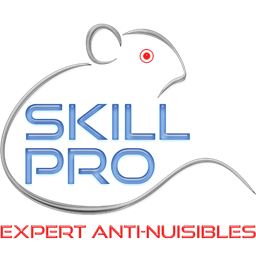 Logo Skill Pro