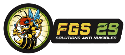 Logo Fgs29 - 3d