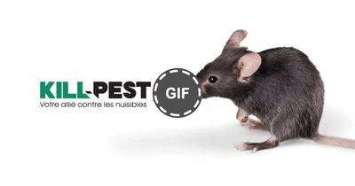 Logo Kill Pest Intervention Rapide Nuisibles 92