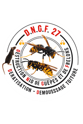 Logo DNGF 27