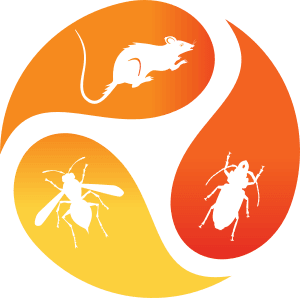 Logo Nocéo