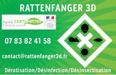 Logo Rattenfanger 3d