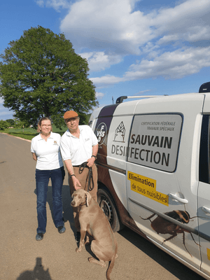 Logo Sauvain Desinfection