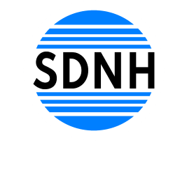 Logo Sdnh Société de Désinsectisation et Nettoyage de Hottes