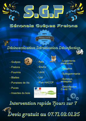Logo Sénonais Guêpes Frelons