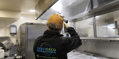 Logo Servigeco