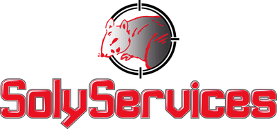 Logo Solyservices