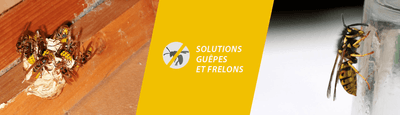 Logo Sos Nuisible