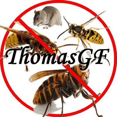 Logo Thomasgf